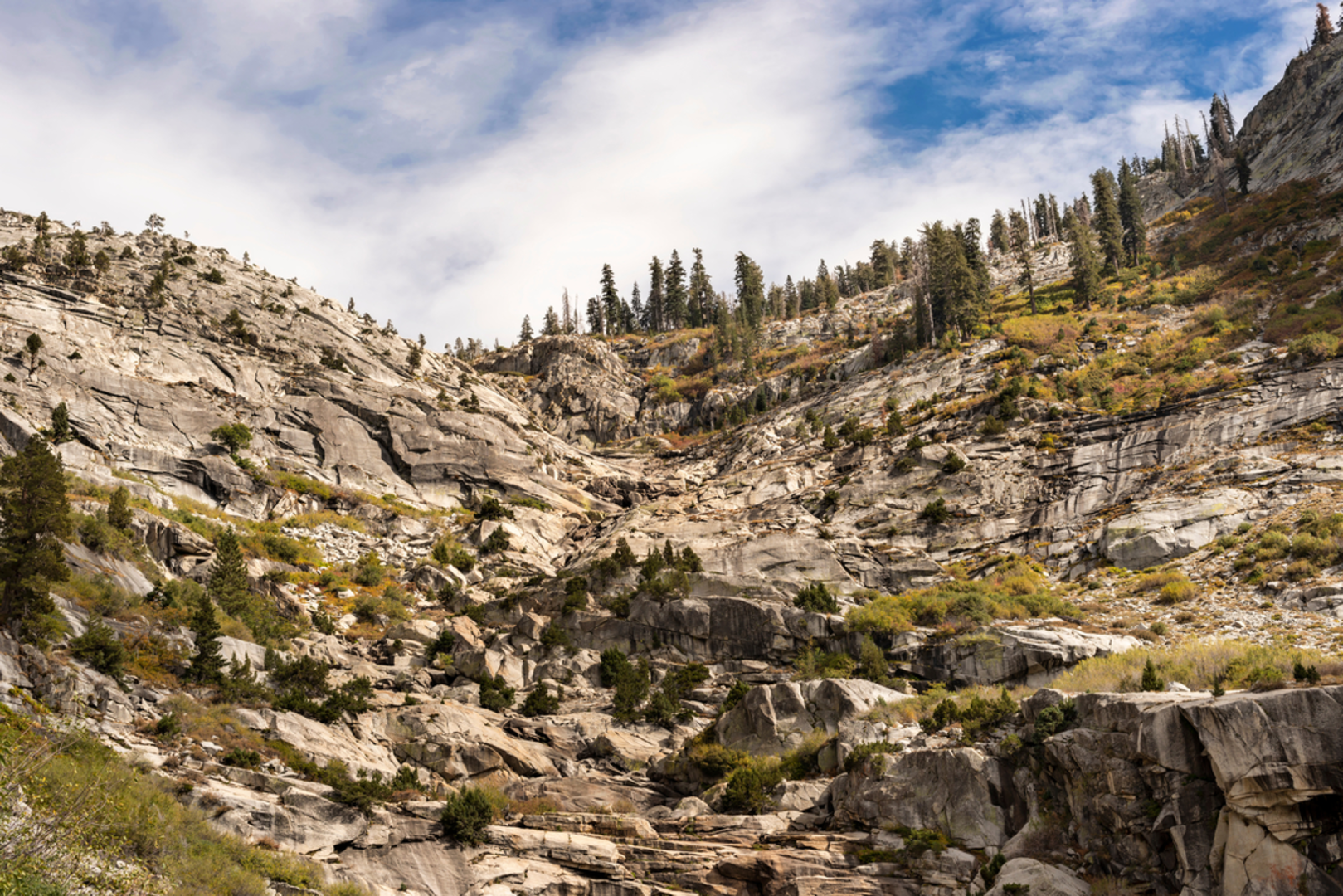 An image depicting the trail Little Baldy Trail from Generals Highway and its surrounding area.