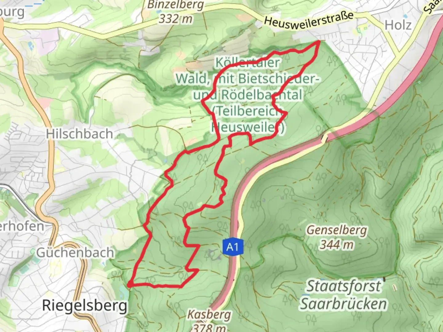 An image depicting the trail Frohn Wald Weg Loop and its surrounding area.