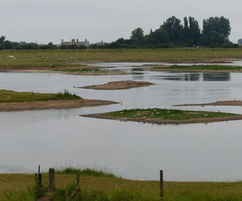 Freiston Shore Loop