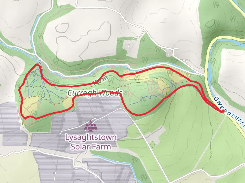 Curragh Woods Loop - Midleton