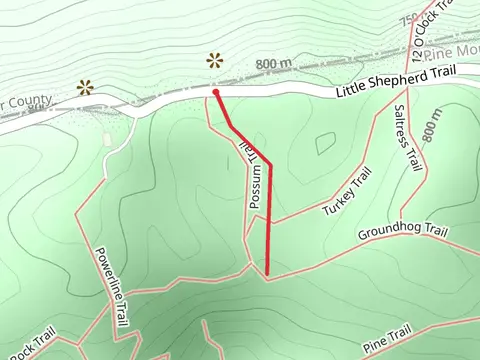 Possum Trail
