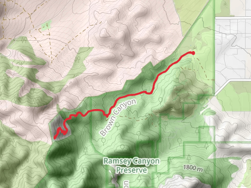 Pomona Mine Trail