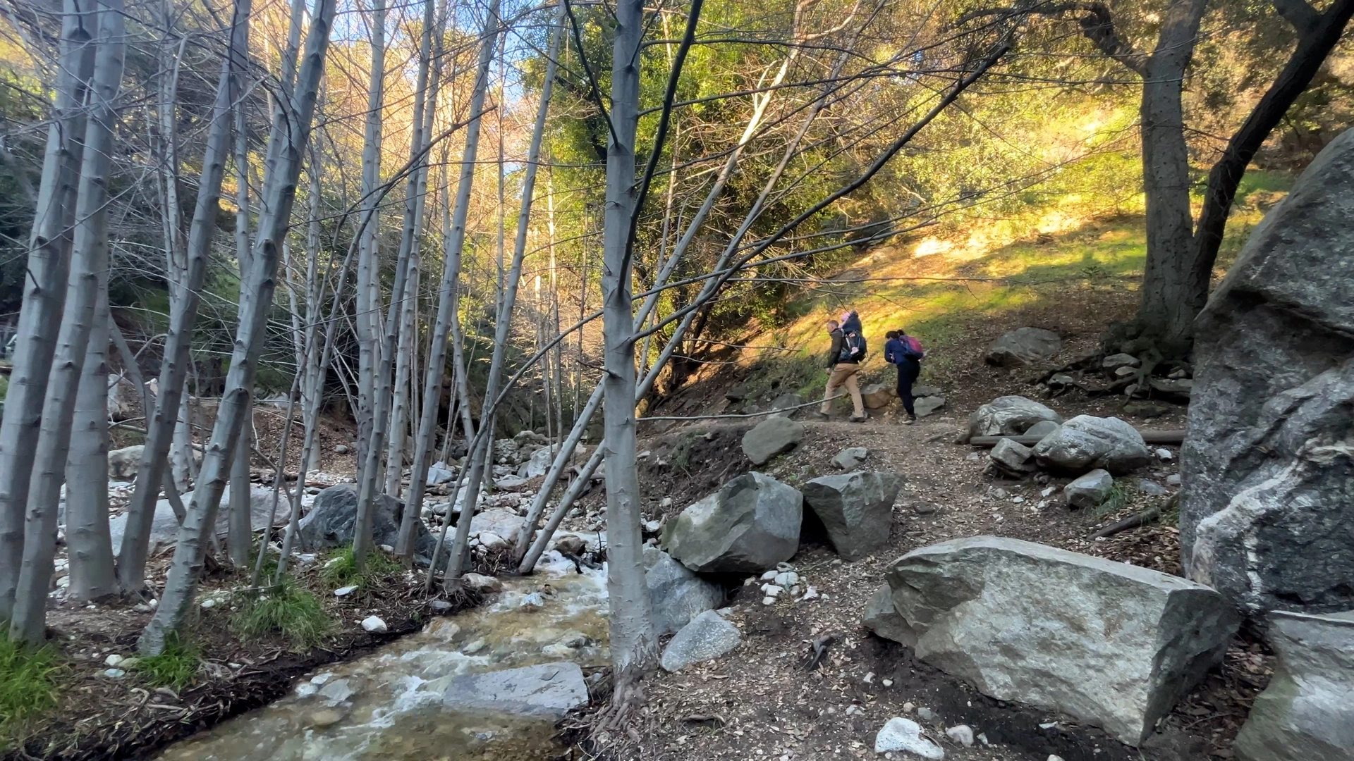 An image depicting the trail Millard Falls Trail and its surrounding area.