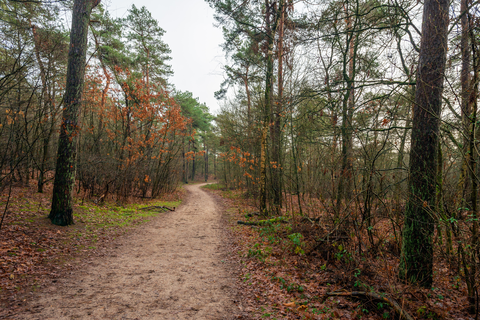 Boswachterij Dorst and Oude Leemputten via Oosterhoutse Weg