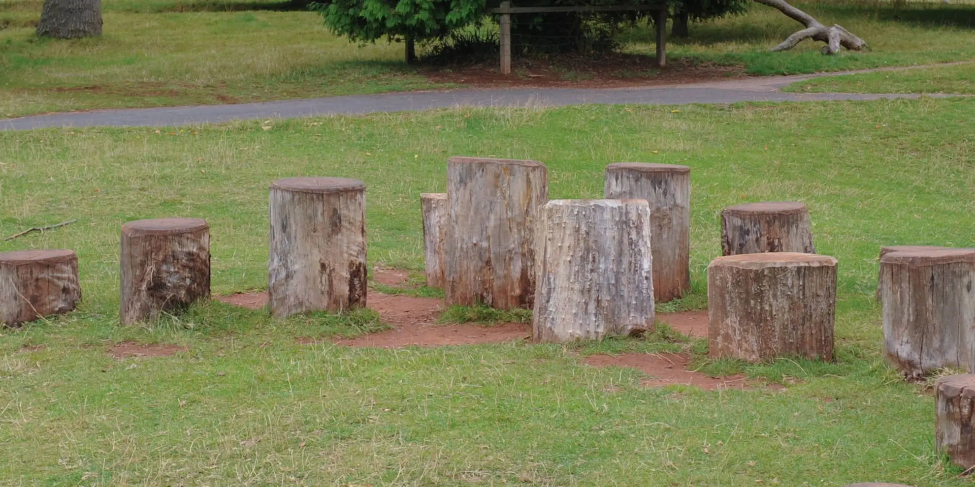 An image depicting the trail Killerton Tree Walk and its surrounding area.