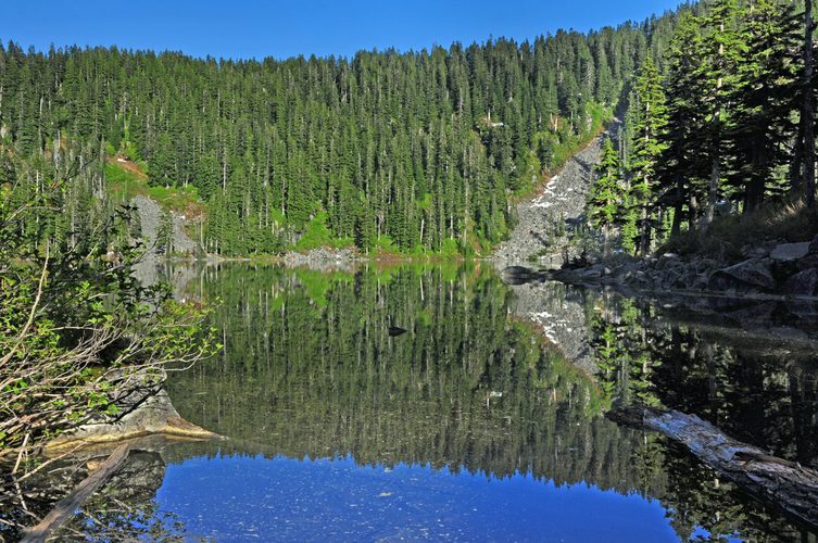 Bandera Mountain Trail