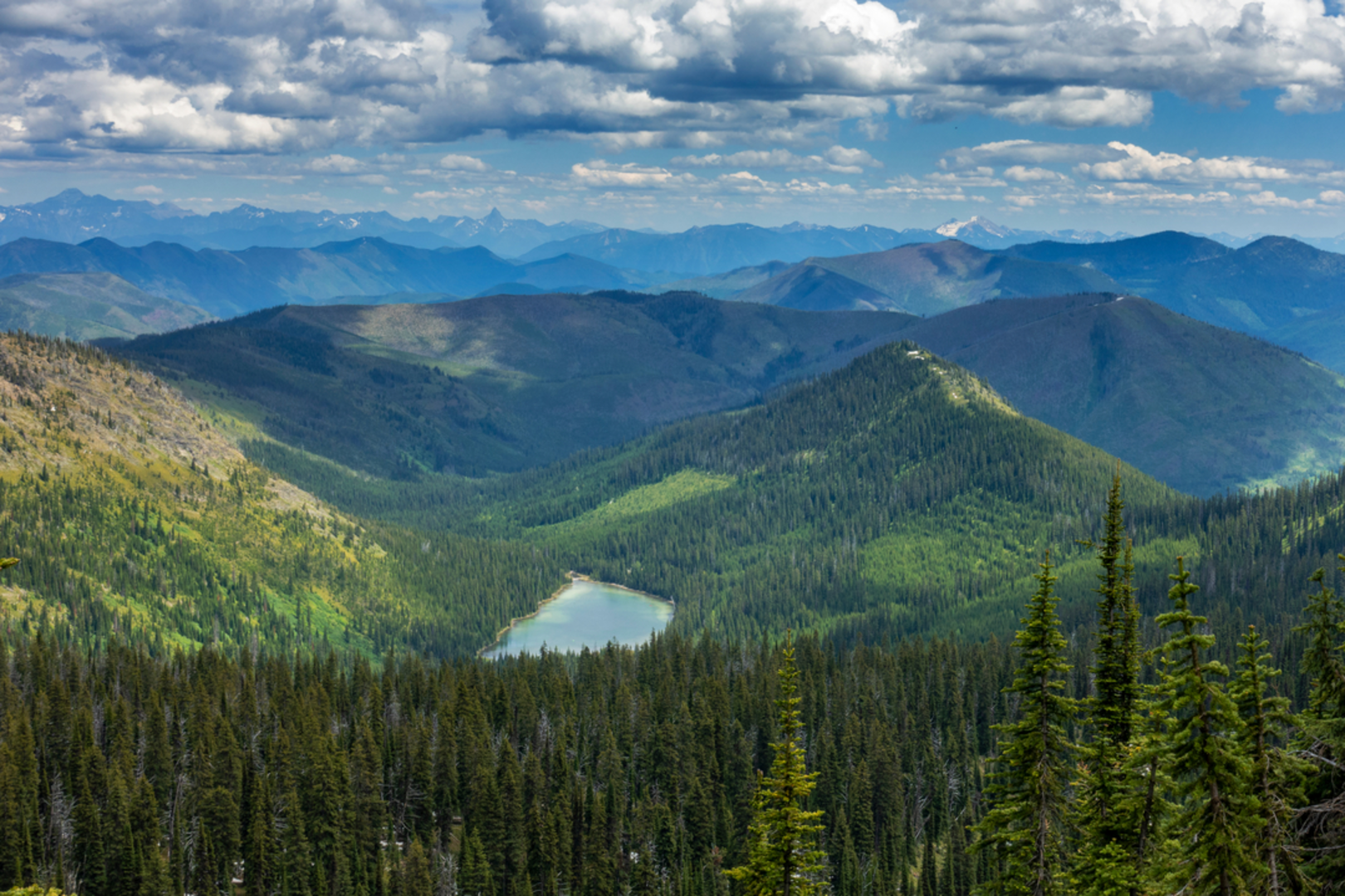 An image depicting the trail Deadhorse Ridge Moose Lake Trail and its surrounding area.