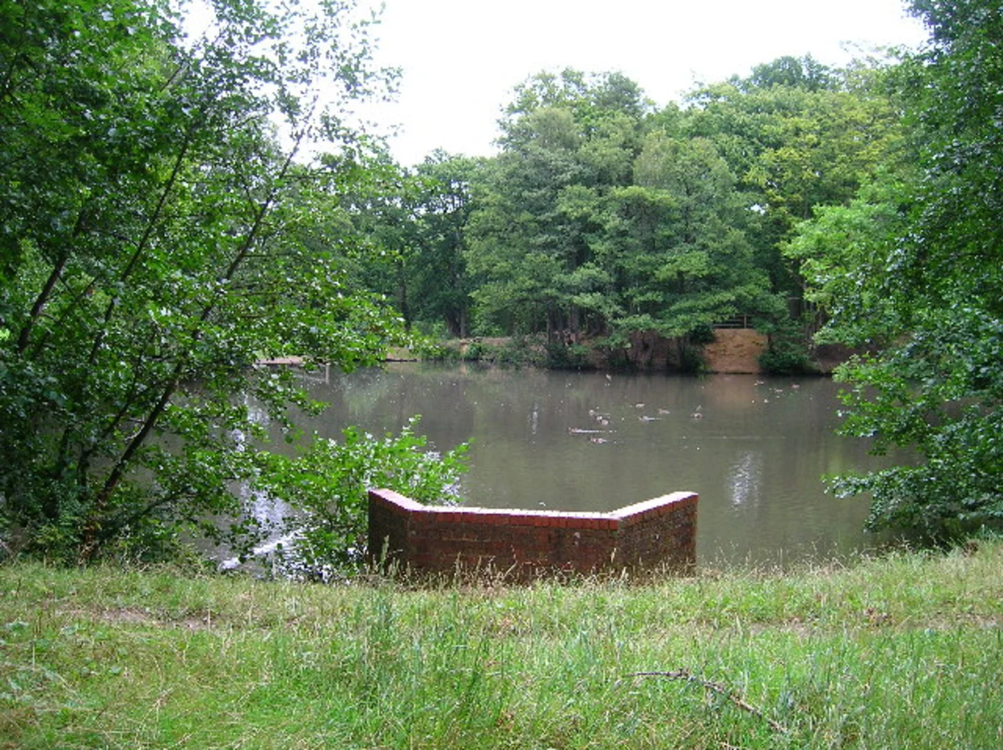 An image depicting the trail Crowley Down Woodland Loop and its surrounding area.