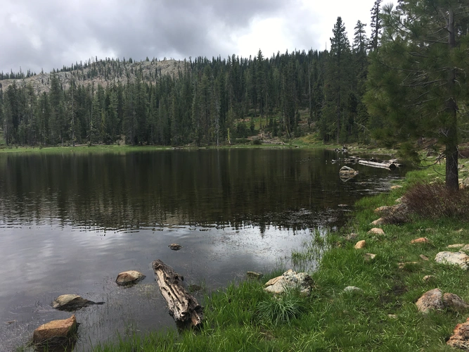 Gumboot Lake Trail
