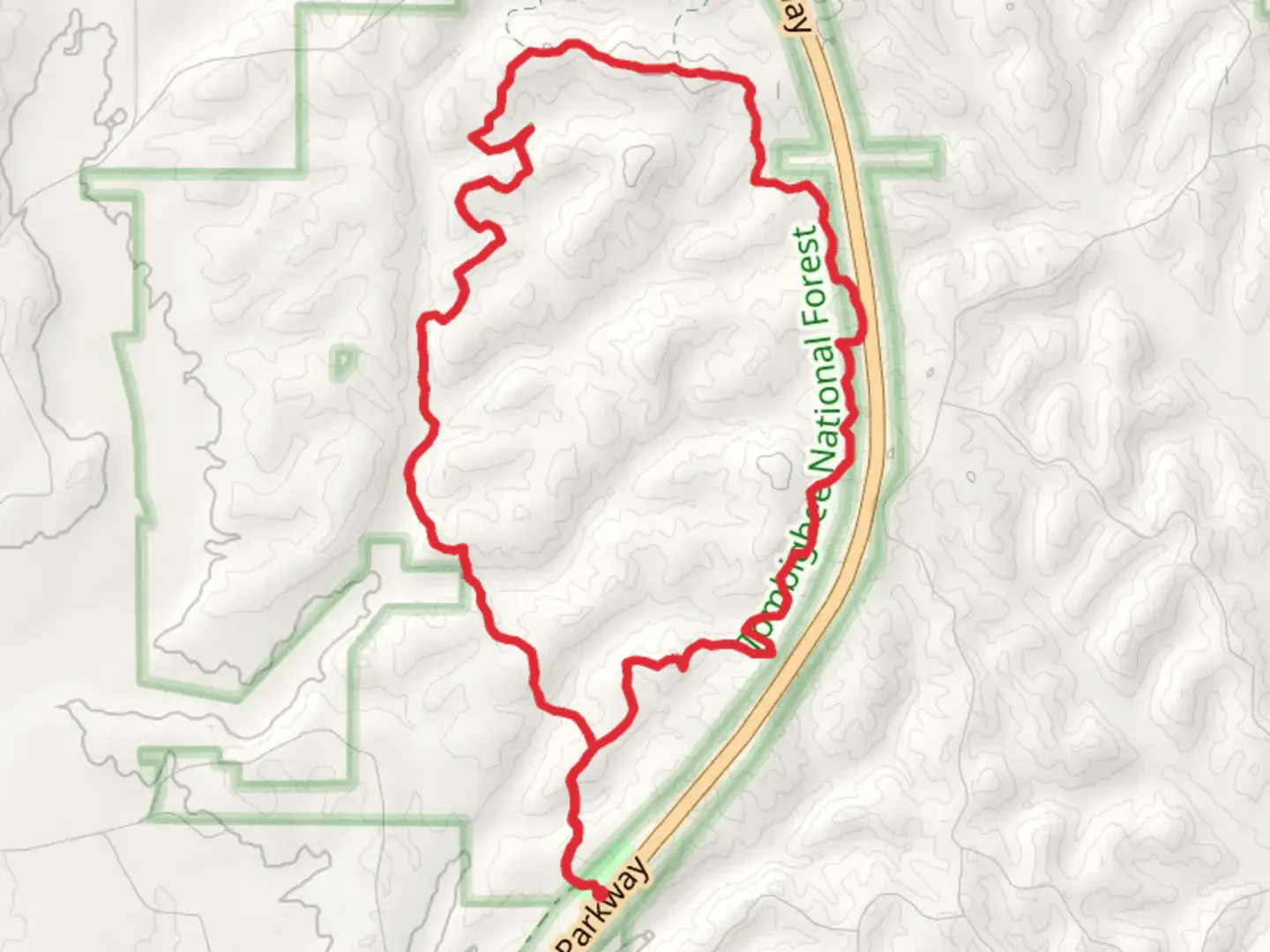 An image depicting the trail Witch Dance Loop Trail and its surrounding area.