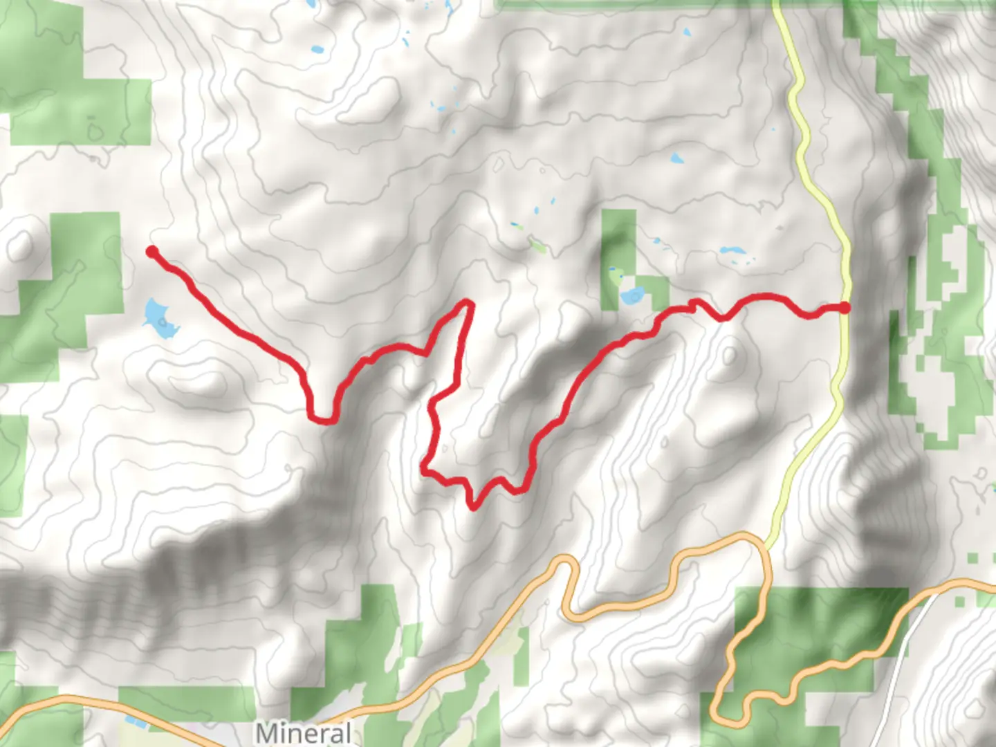 An image depicting the trail Manny Creek and Martin Creek and its surrounding area.