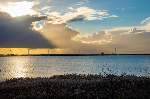 Halsterseweg, Tholenseweg and Weg naar Wouw Loop