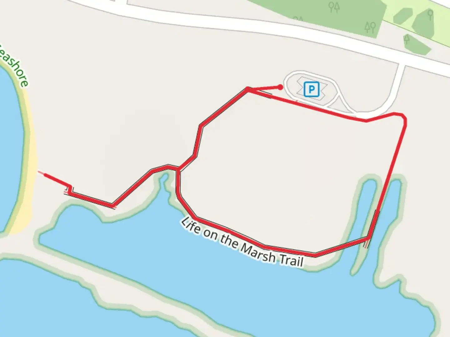 An image depicting the trail Life on the Marsh Loop Trail and its surrounding area.