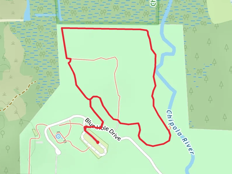 Chipola River Trail - Blue