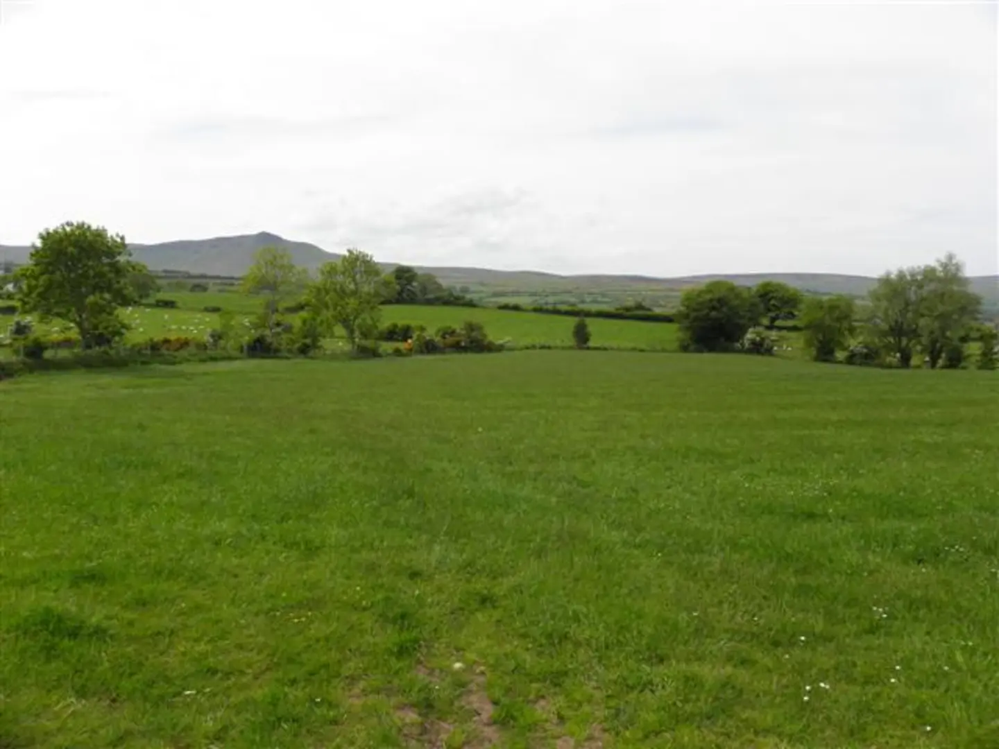 An image depicting the trail Abbey Wood Trail and its surrounding area.