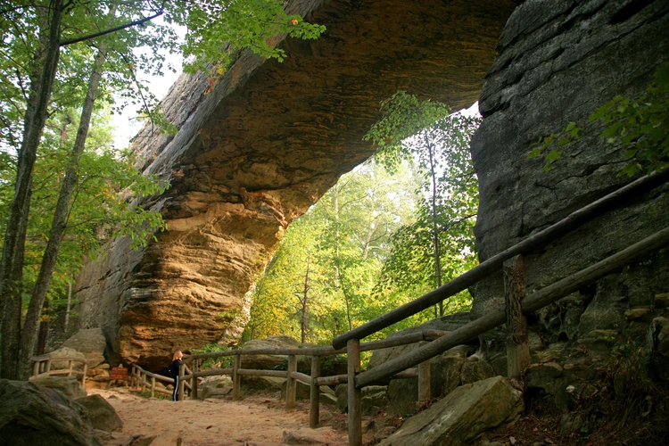 Rock Garden Trail