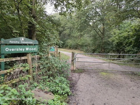 Oversley Wood