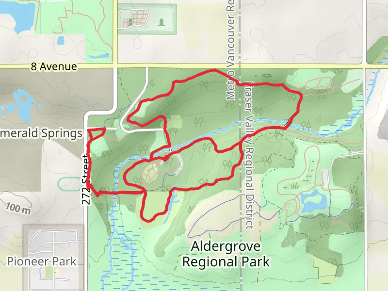 Pepin Brook, Rock 'N Horse and Woodpecker Loop Trail