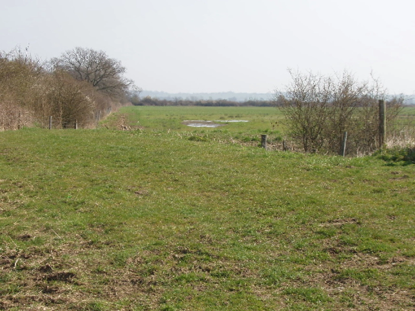 An image depicting the trail Otmoor Reserve Loop and its surrounding area.
