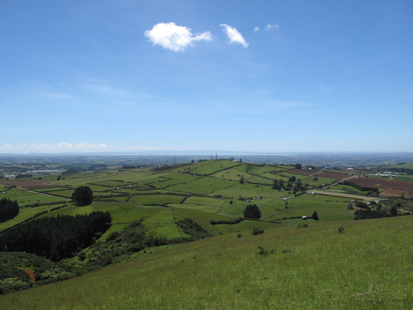 An image depicting the trail Mount William Walkway and its surrounding area.