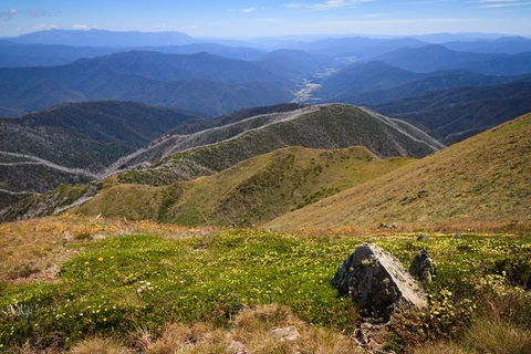 Mount Feathertop Trail - The Razorback