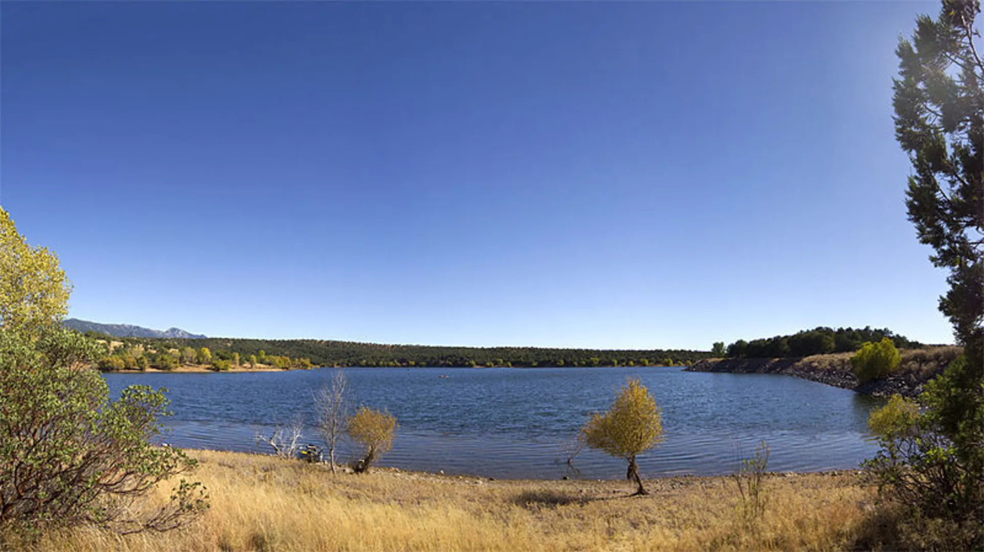 An image depicting the trail Arizona Trail - Passage 3 - Canelo Hills East Trail and its surrounding area.