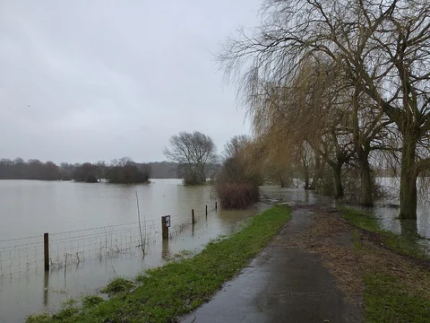 Nene Park Short Loop