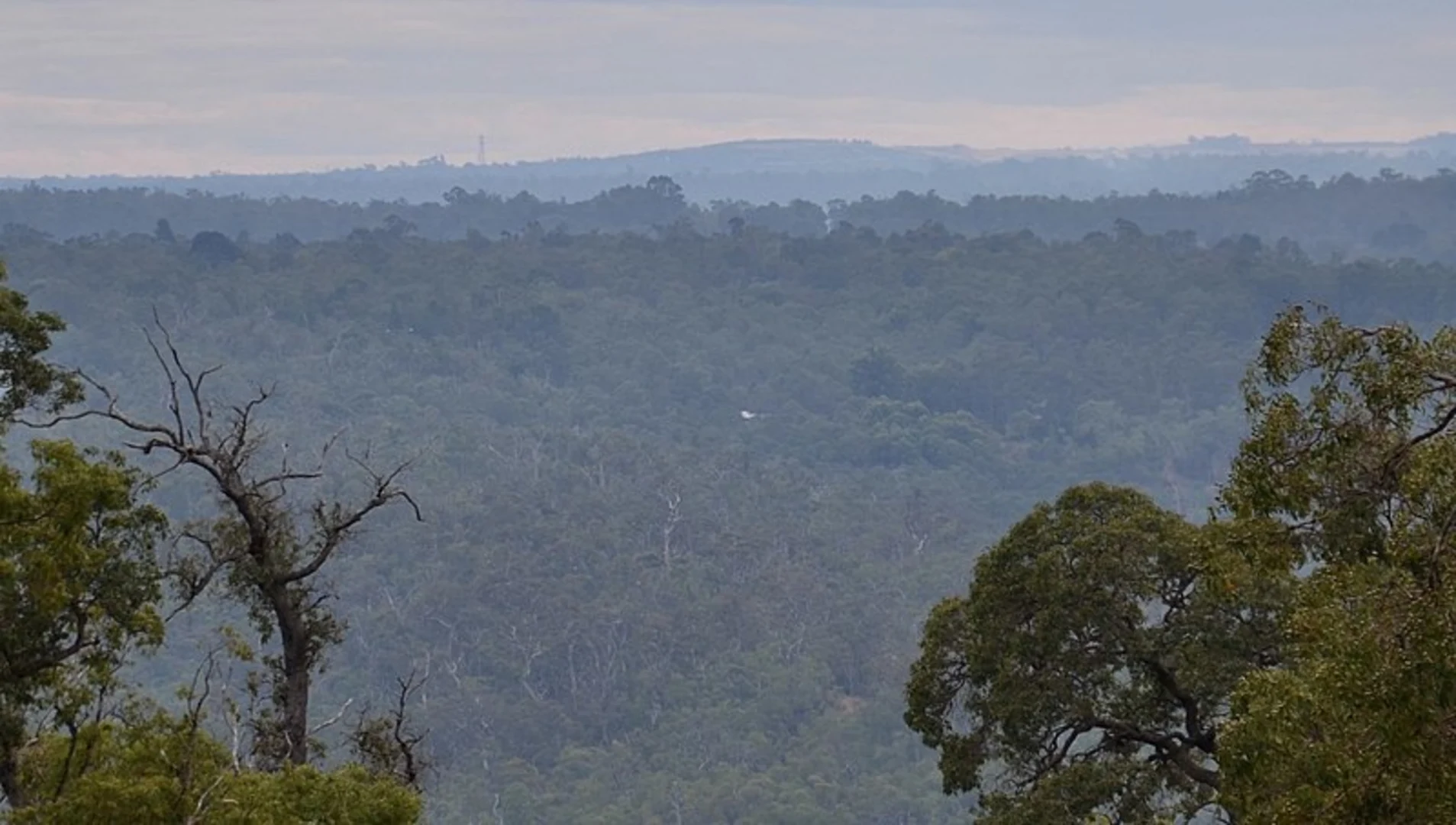 An image depicting the trail Bibbulmun Track Camel Farm and its surrounding area.