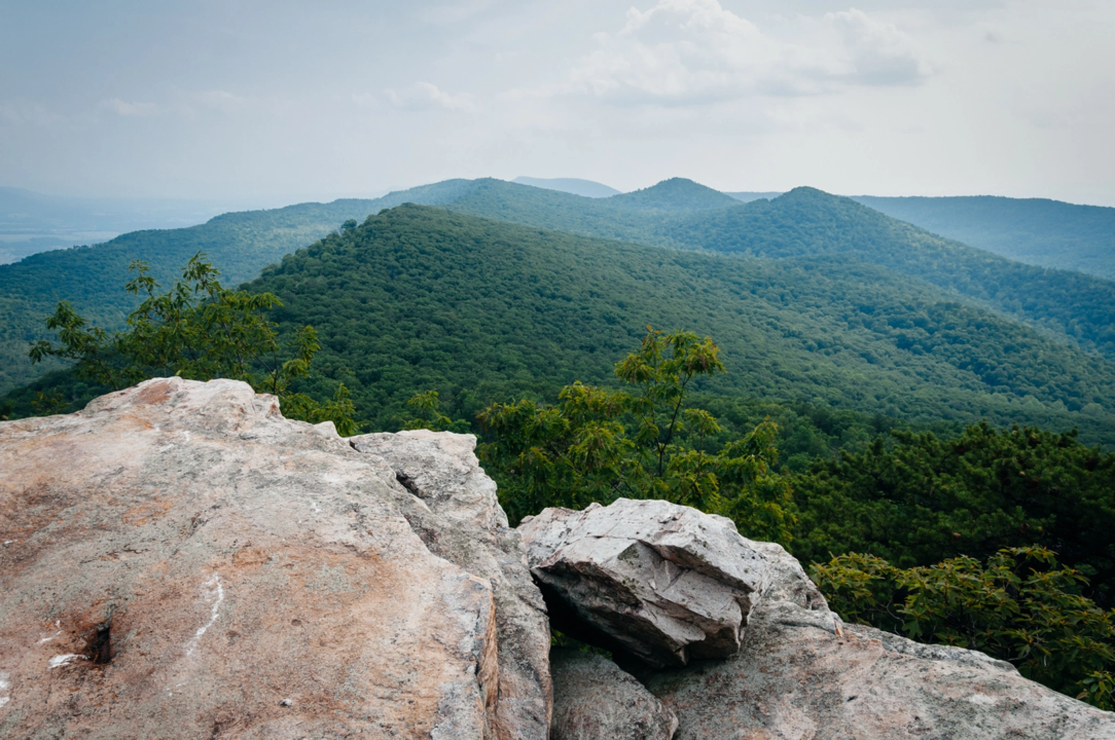 An image depicting the trail Scothorn Gap Trail via Gap Creek Trail and its surrounding area.