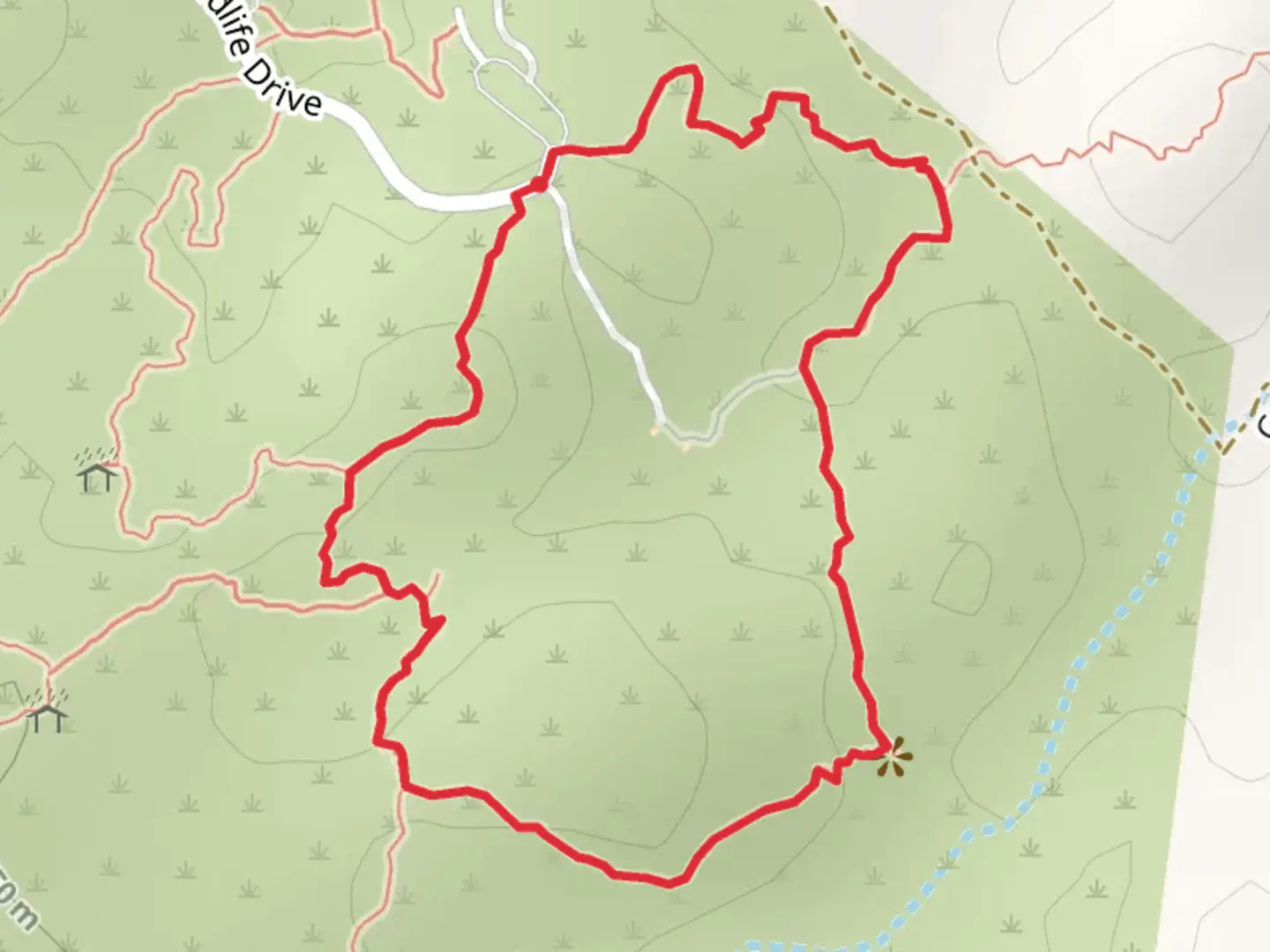An image depicting the trail Wildlife Drive Nature Loop Trail and its surrounding area.