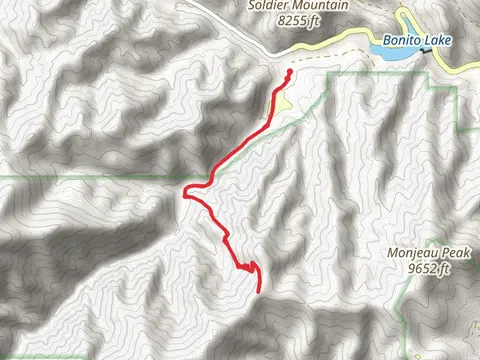 Blue front Canyon - South Fork Out and Back