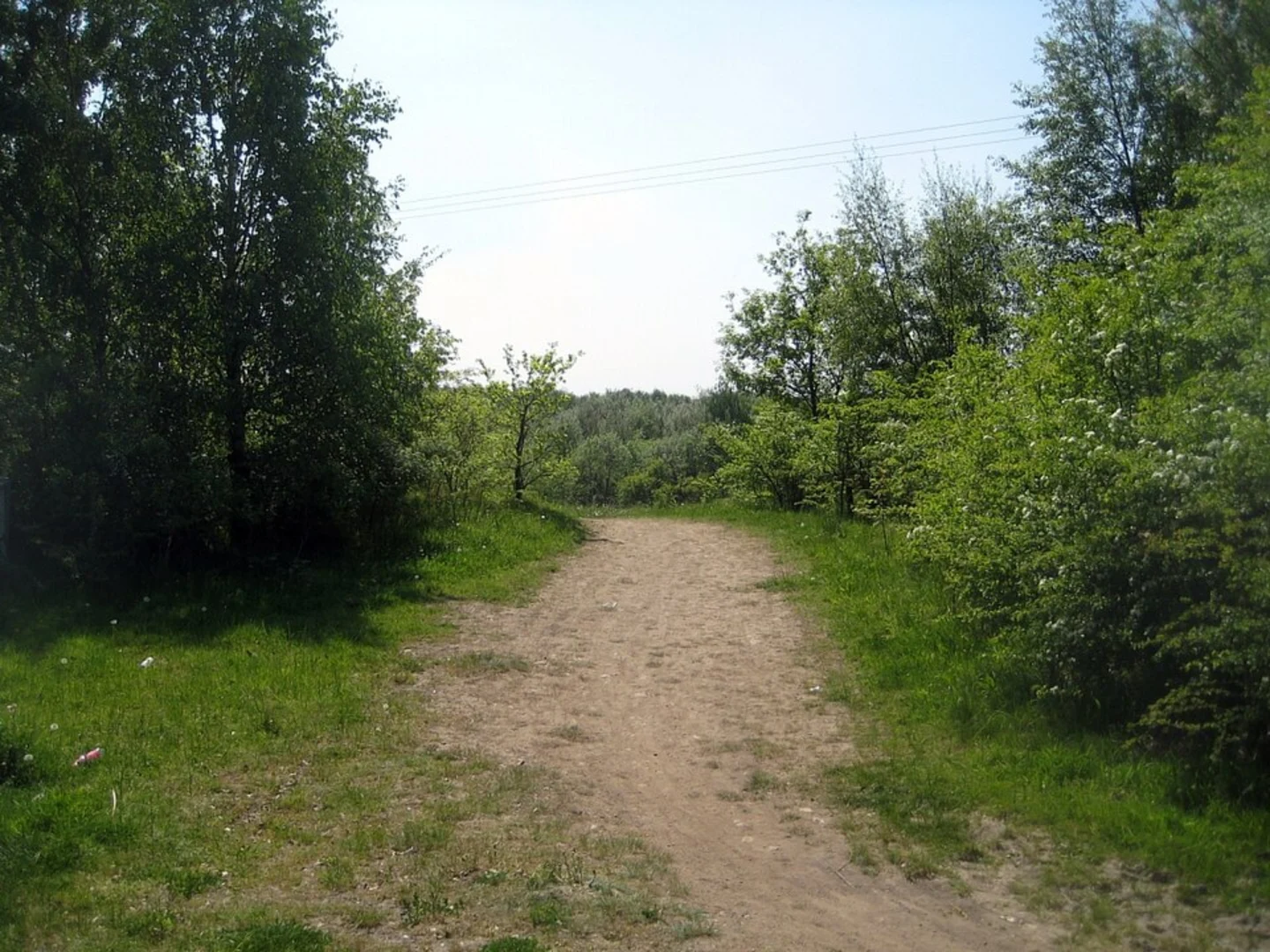 An image depicting the trail Southern Washlands Nature Reserve Loop and its surrounding area.