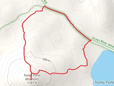 Tooley Pond Mountain Trail Loop