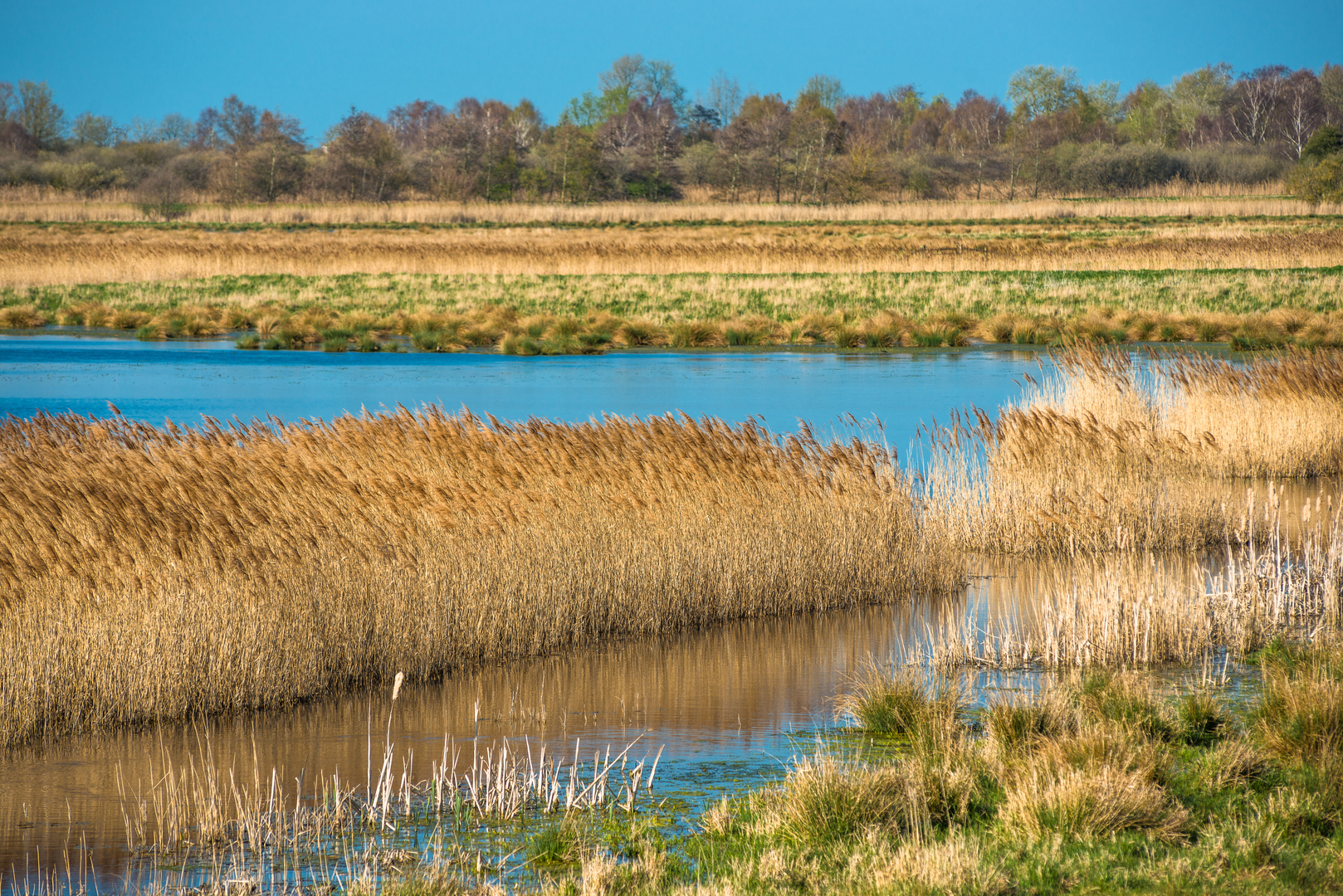 An image depicting the trail Four Lodes Trail - Wicken Fen - Cambridgeshire and its surrounding area.