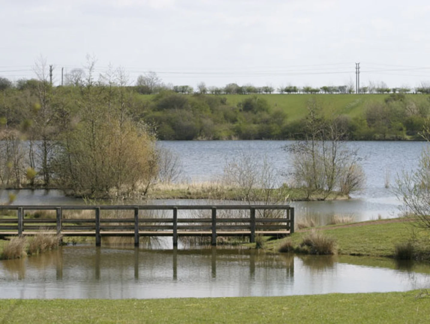 An image depicting the trail Crown Lakes Country Park Loop and its surrounding area.
