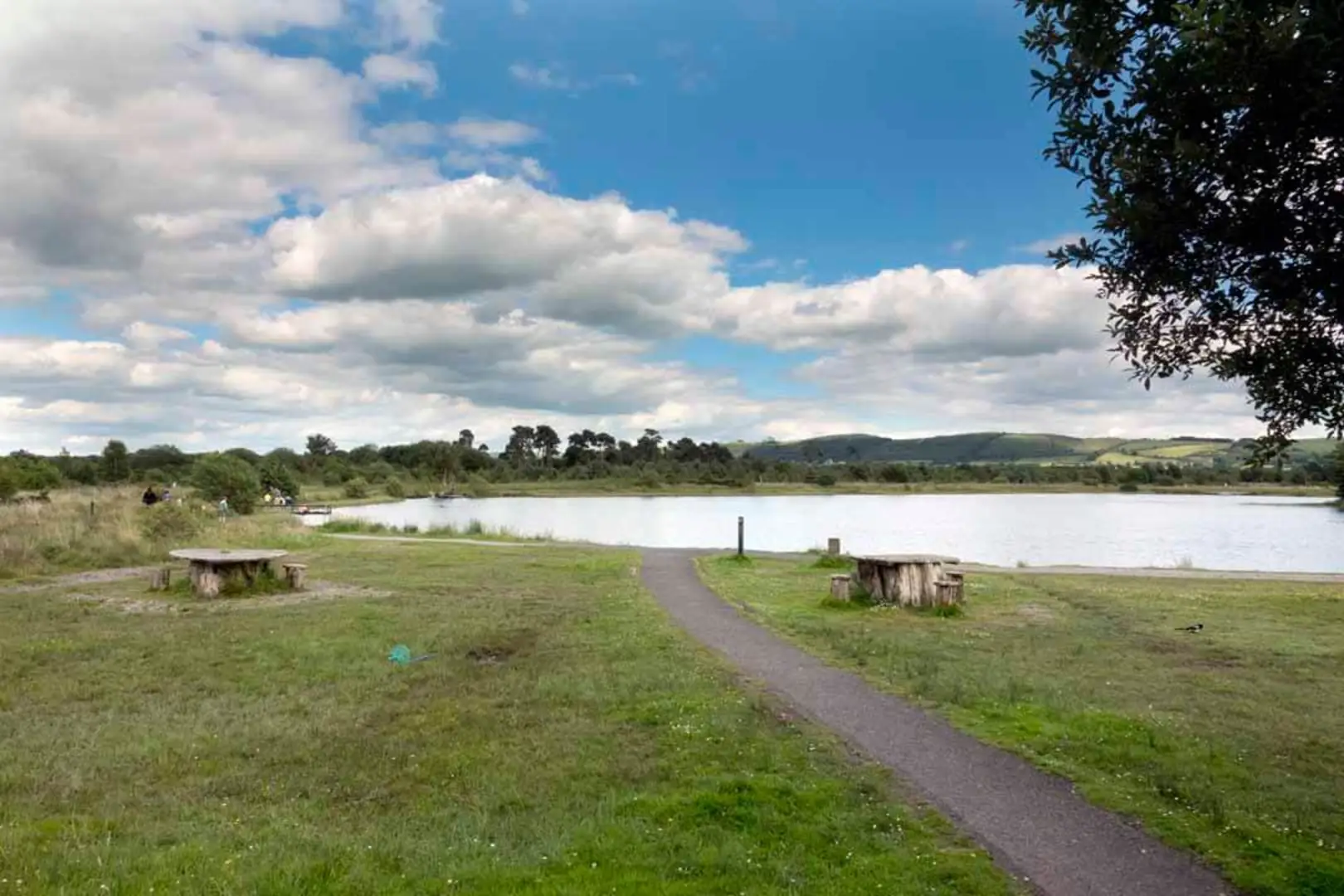 An image depicting the trail Loch Dhoire Bhile Loop and its surrounding area.