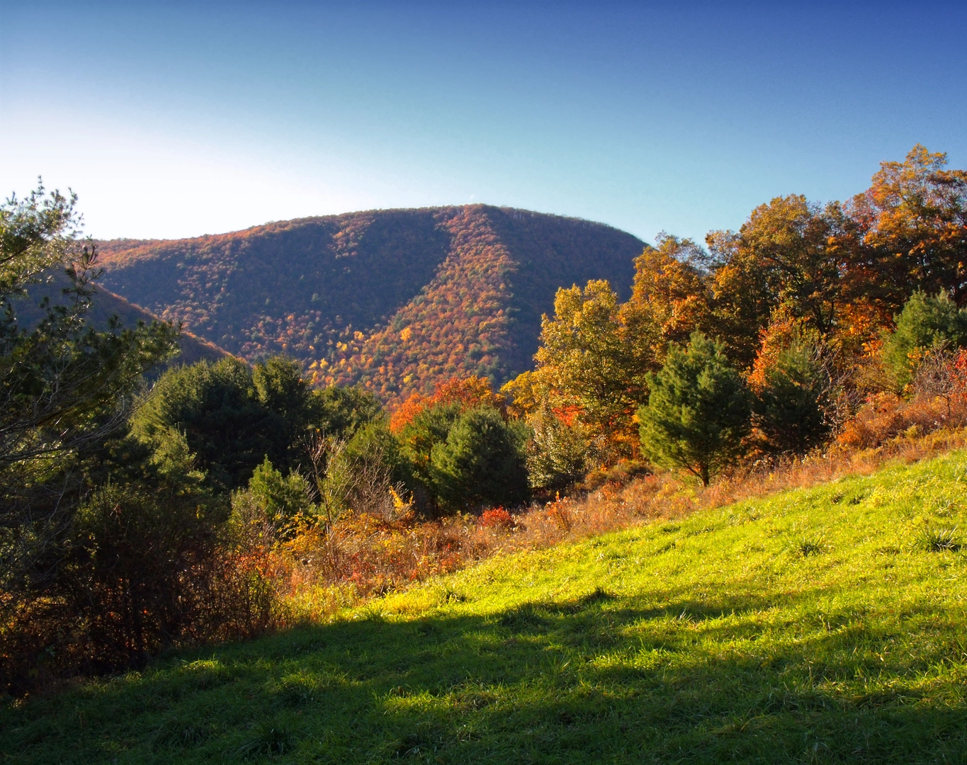 An image depicting the trail Kelly's Run via Conestoga Trail and its surrounding area.
