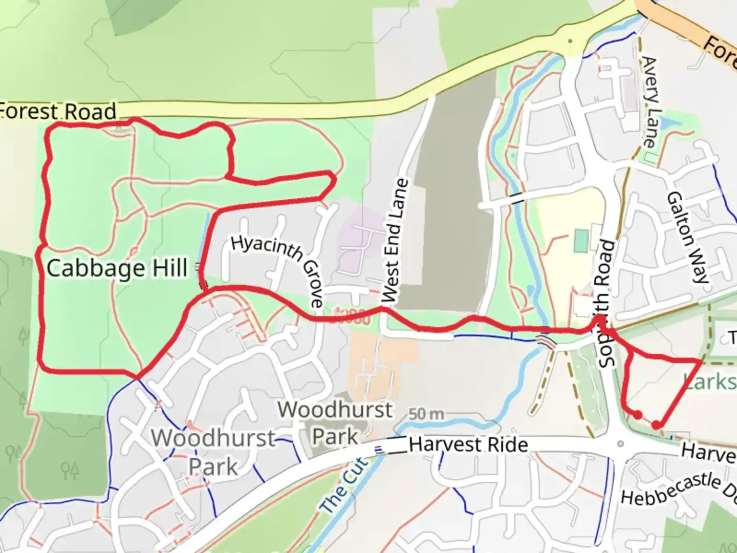 An image depicting the trail Cabbage Hill via Greenway and its surrounding area.