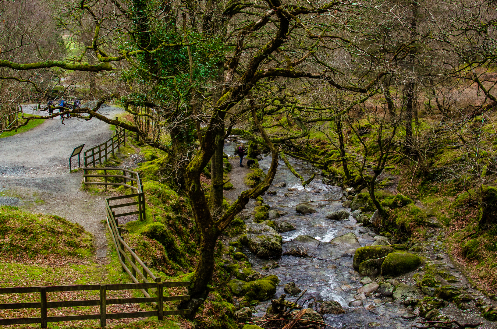 An image depicting the trail Wicklow Way and its surrounding area.