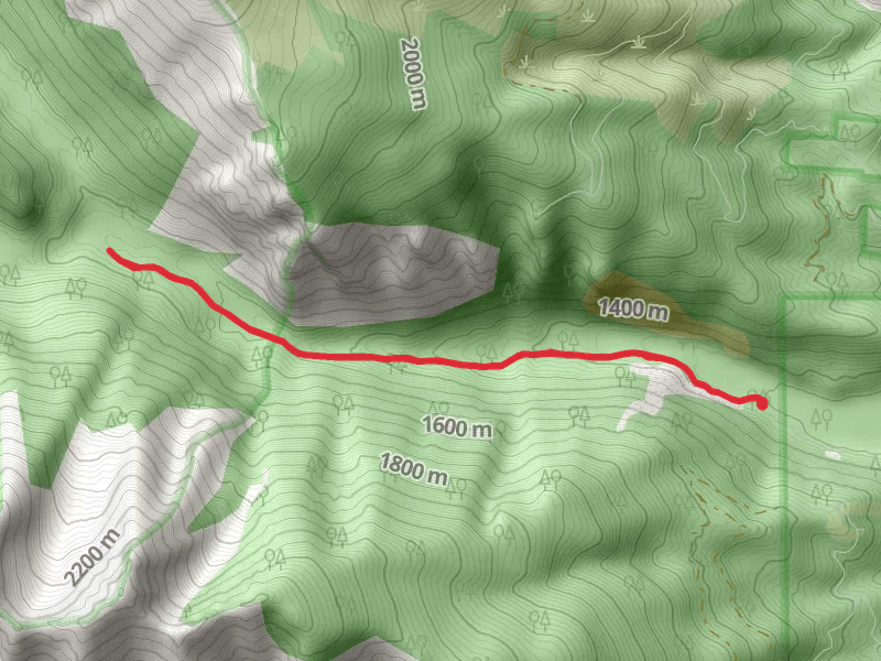 Bear Creek Trail Out and Back