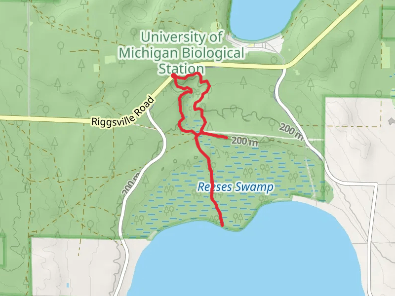 The Gorge Hiking Trail and Little Carp Creek