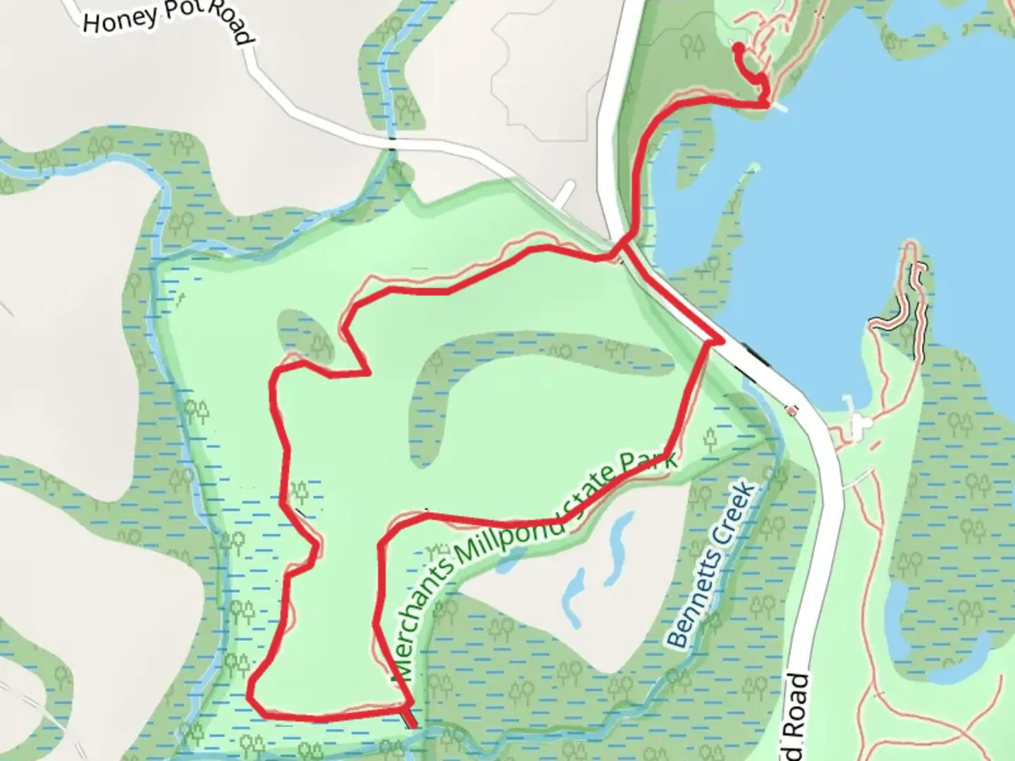 An image depicting the trail Bennetts Creek Loop Trail and its surrounding area.