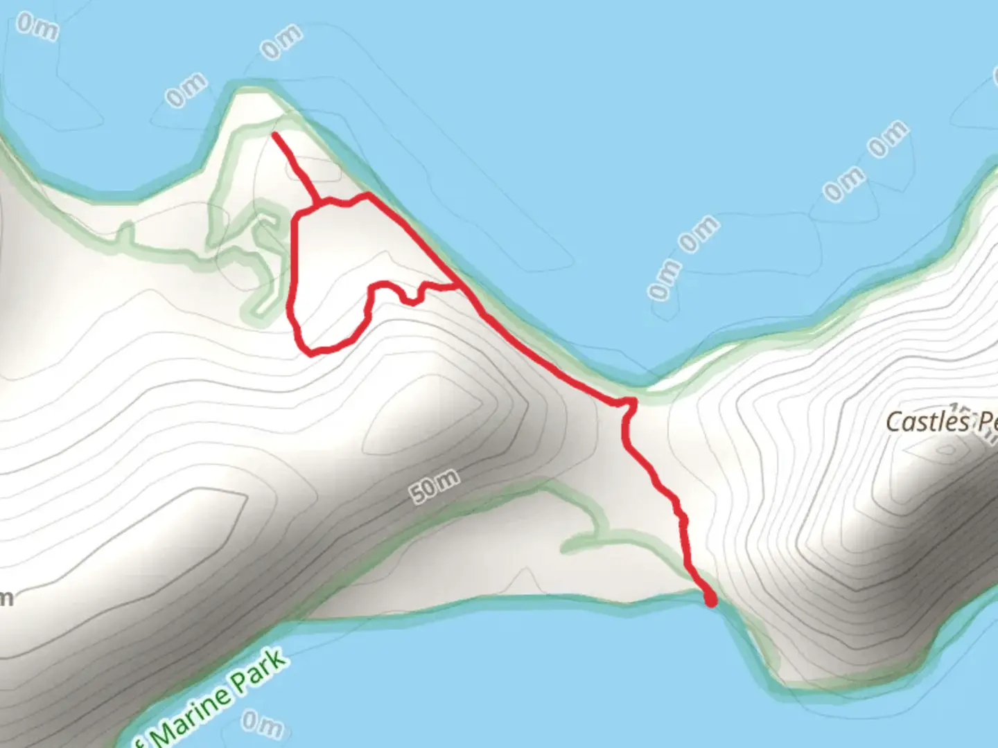An image depicting the trail Wongai Beach Track and its surrounding area.