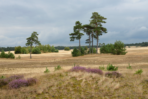 Langeweg, Vierhouterweg, Staverdenseweg, Leuvenumseweg and Hiederweg Loop