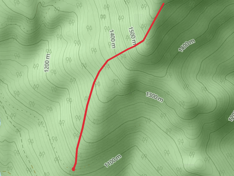 Ziegler Mountain Trail