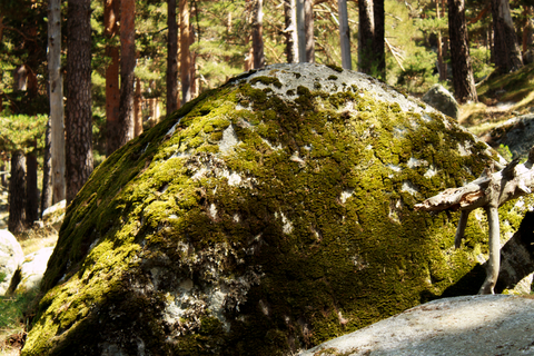 Schmid Trail