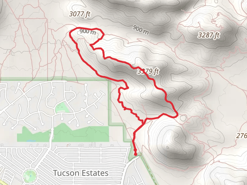 Explorer Trail and Starr Pass Trail Loop
