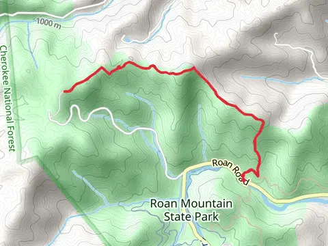Chestnut Ridge Trail