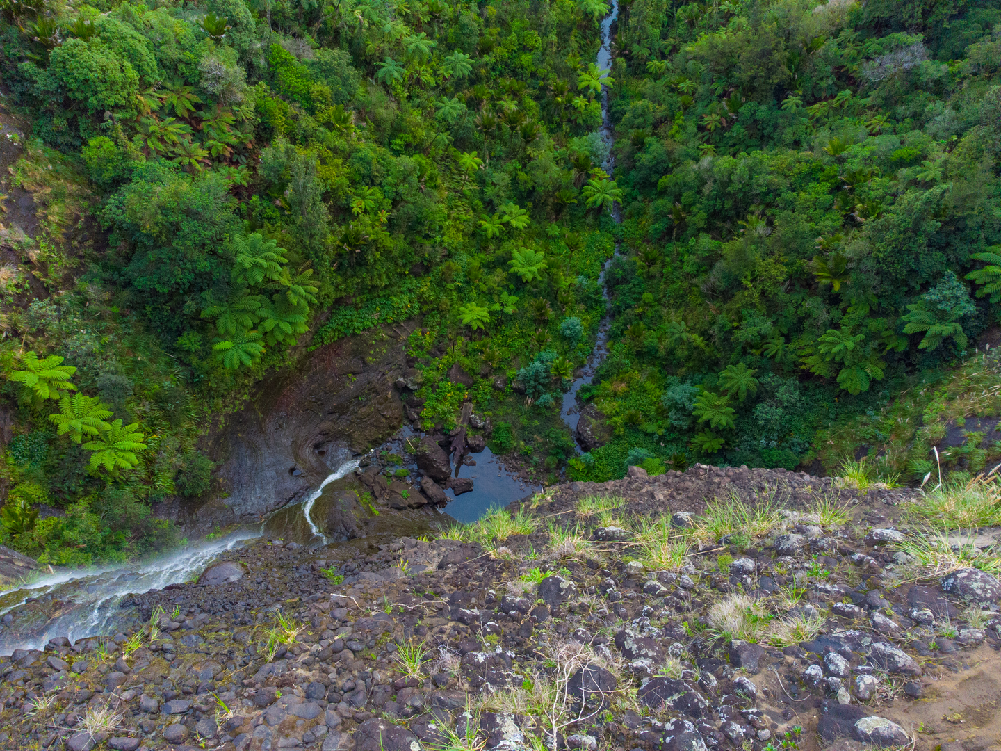 An image depicting the trail Waitakere Dam and its surrounding area.