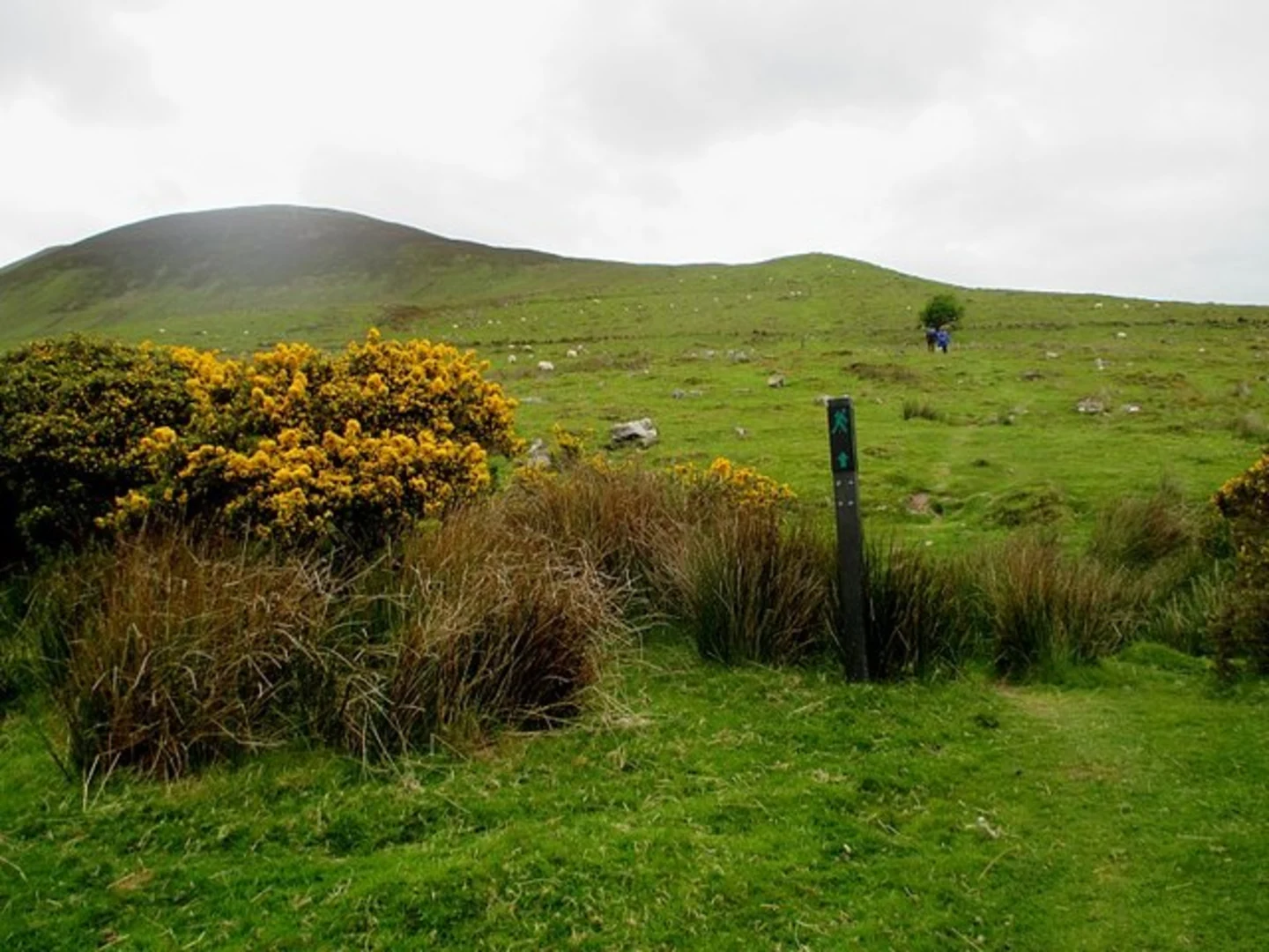 An image depicting the trail Lough Curra Trail and its surrounding area.